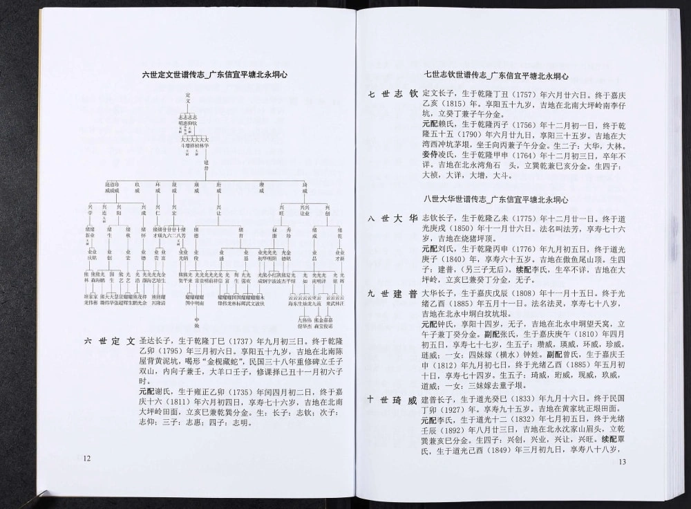 图片[8]-广东信宜熊氏胜公世系谱电子版PDF下载-中华家谱网