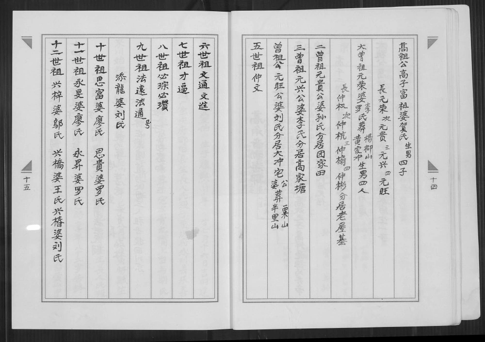 图片[6]-重庆永川高氏族谱电子版PDF下载-中华家谱网