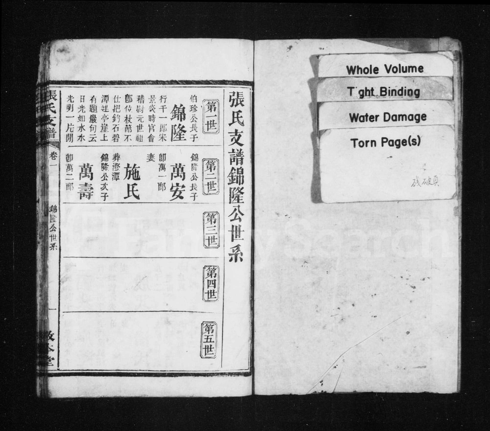 图片[5]-湖南岳阳平江张氏支谱（敦本堂）电子版PDF下载-中华家谱网