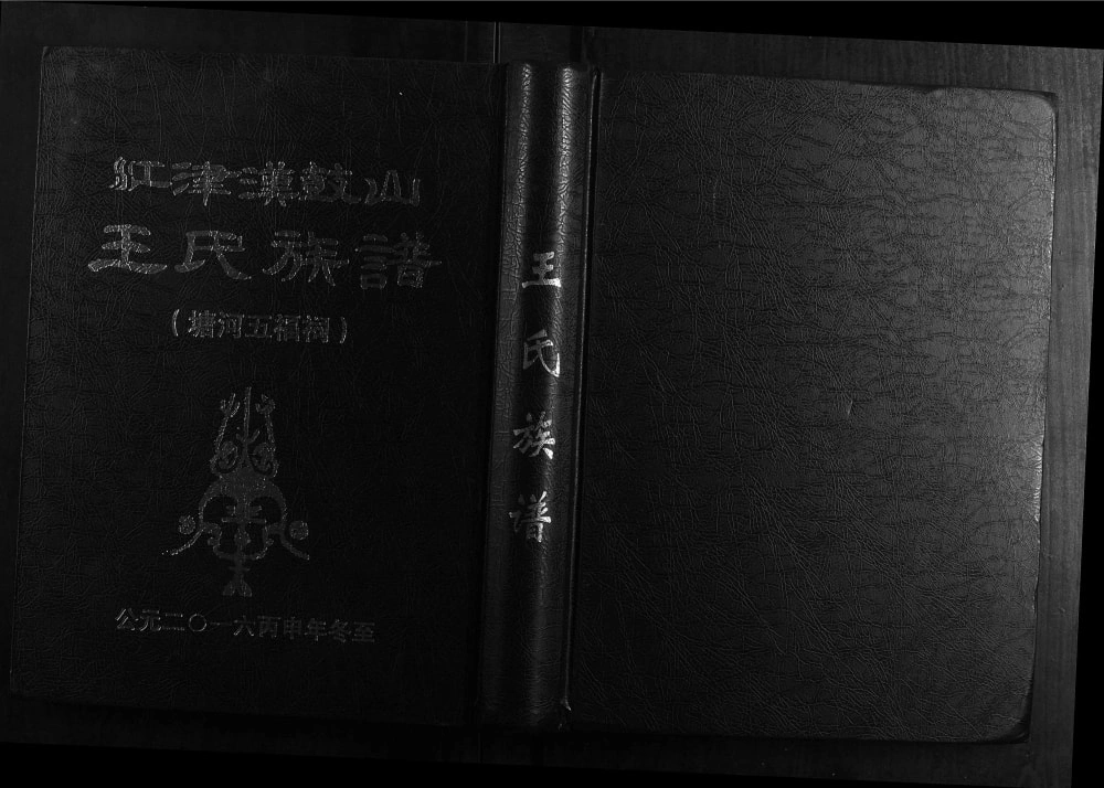 图片[1]-重庆江津汉鼓山王氏族谱电子版PDF下载-中华家谱网