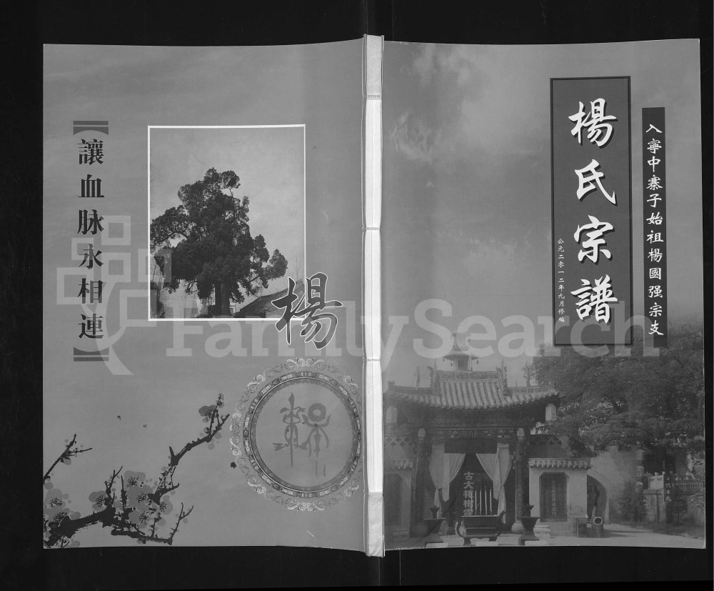 图片[1]-宁夏灵武杨氏宗谱入宁中寨子始祖杨国强宗支电子版PDF下载-中华家谱网