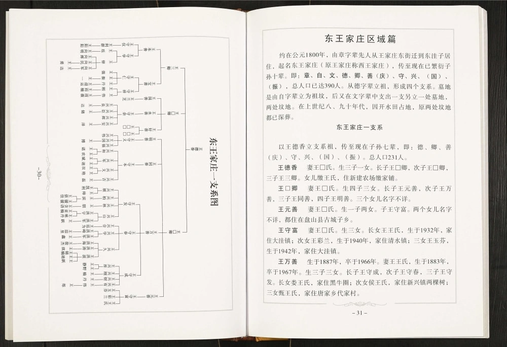 图片[8]-辽宁盘锦大洼区王氏族谱电子版PDF下载-中华家谱网
