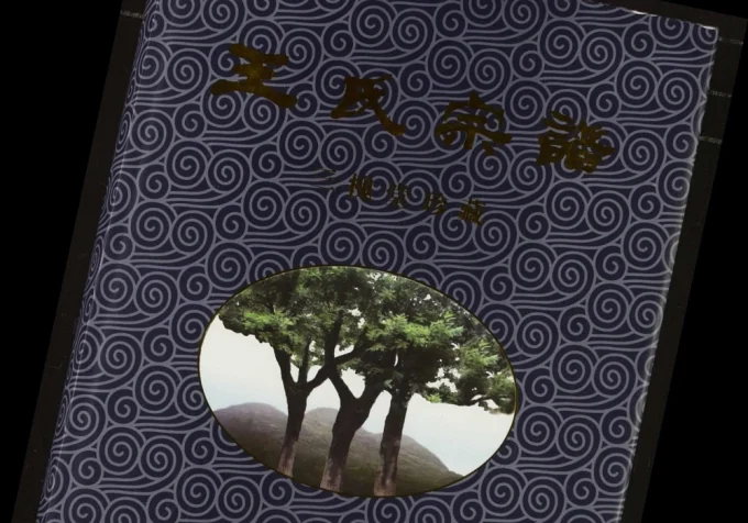 湖北广水王氏宗谱（三槐堂）电子版PDF下载-中华家谱网