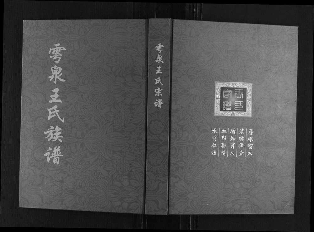 图片[1]-山东诸城雩泉王氏族谱电子版PDF下载-中华家谱网