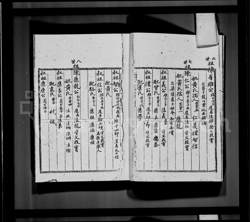 图片[6]-香港鹿颈村陈氏族谱电子版PDF下载-中华家谱网