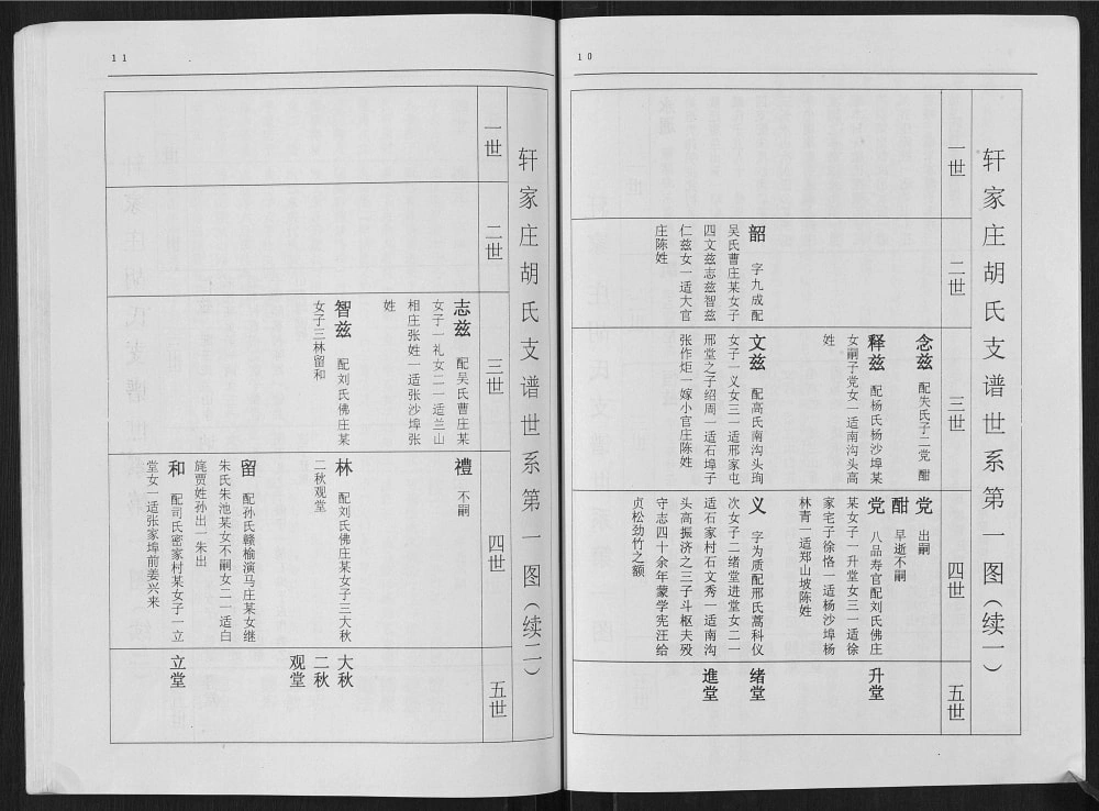 图片[6]-山东临沂临沭县轩庄胡氏支谱（无欺堂）电子版PDF下载-中华家谱网