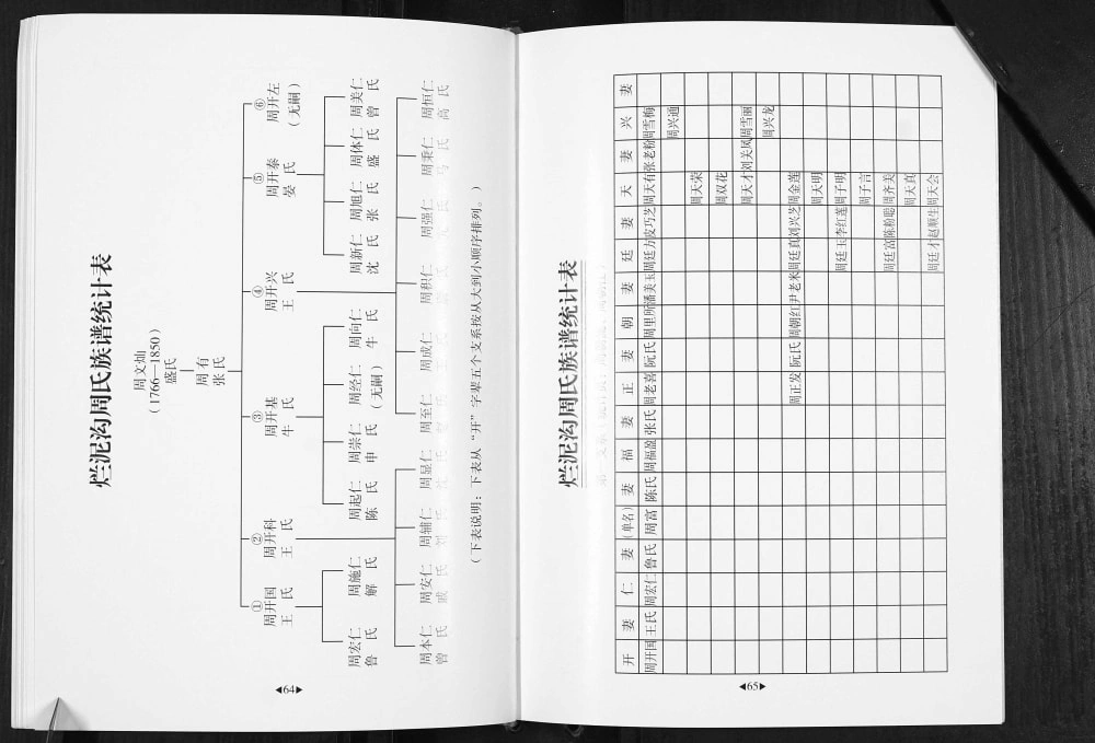 图片[7]-云南曲靖会泽周氏族谱烂泥沟卷电子版PDF下载-中华家谱网