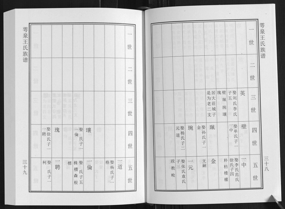 图片[6]-山东诸城雩泉王氏族谱电子版PDF下载-中华家谱网