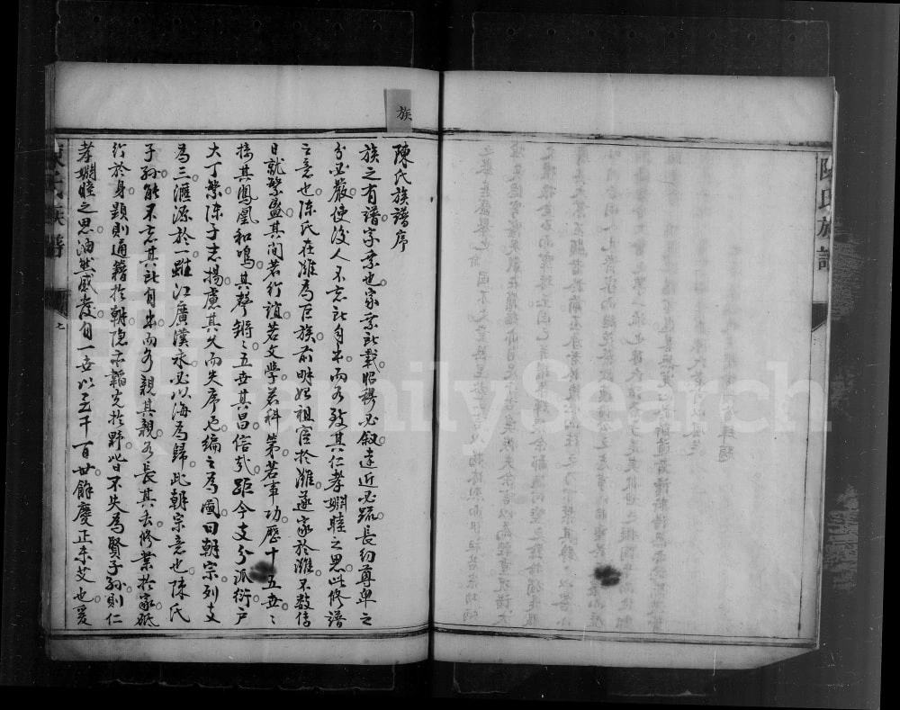 图片[5]-山东潍坊潍县陈氏族谱电子版PDF下载-中华家谱网