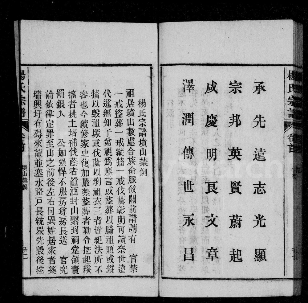 图片[4]-安徽桐城杨氏宗谱电子版PDF下载-中华家谱网