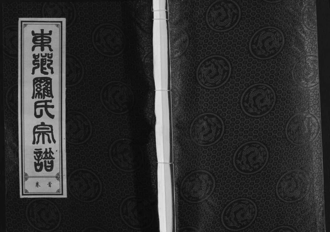 安徽合肥东乡罗氏宗谱（芝雀堂）电子版PDF下载-中华家谱网