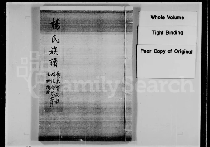 广东深圳宝安杨氏族谱电子版PDF下载-中华家谱网