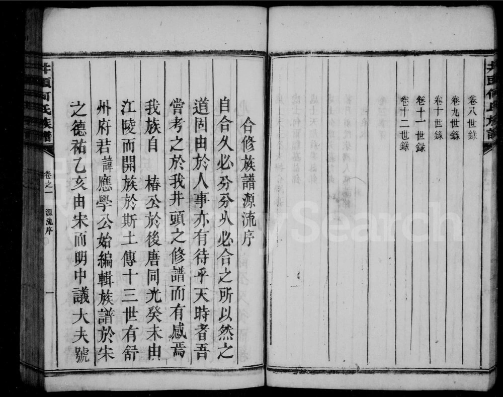 图片[3]-湖南资兴井头何氏族谱电子版PDF下载-中华家谱网