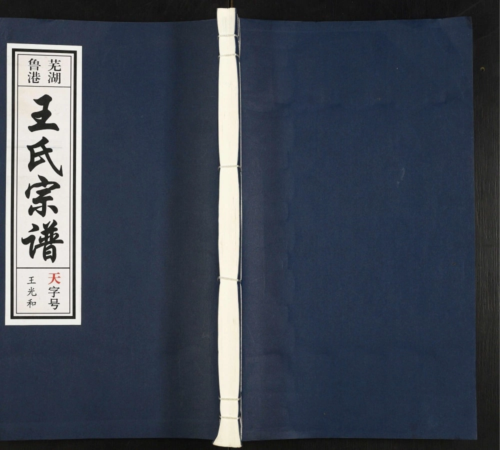 图片[1]-安徽芜湖鲁港王氏宗谱（三槐堂）电子版PDF下载-中华家谱网