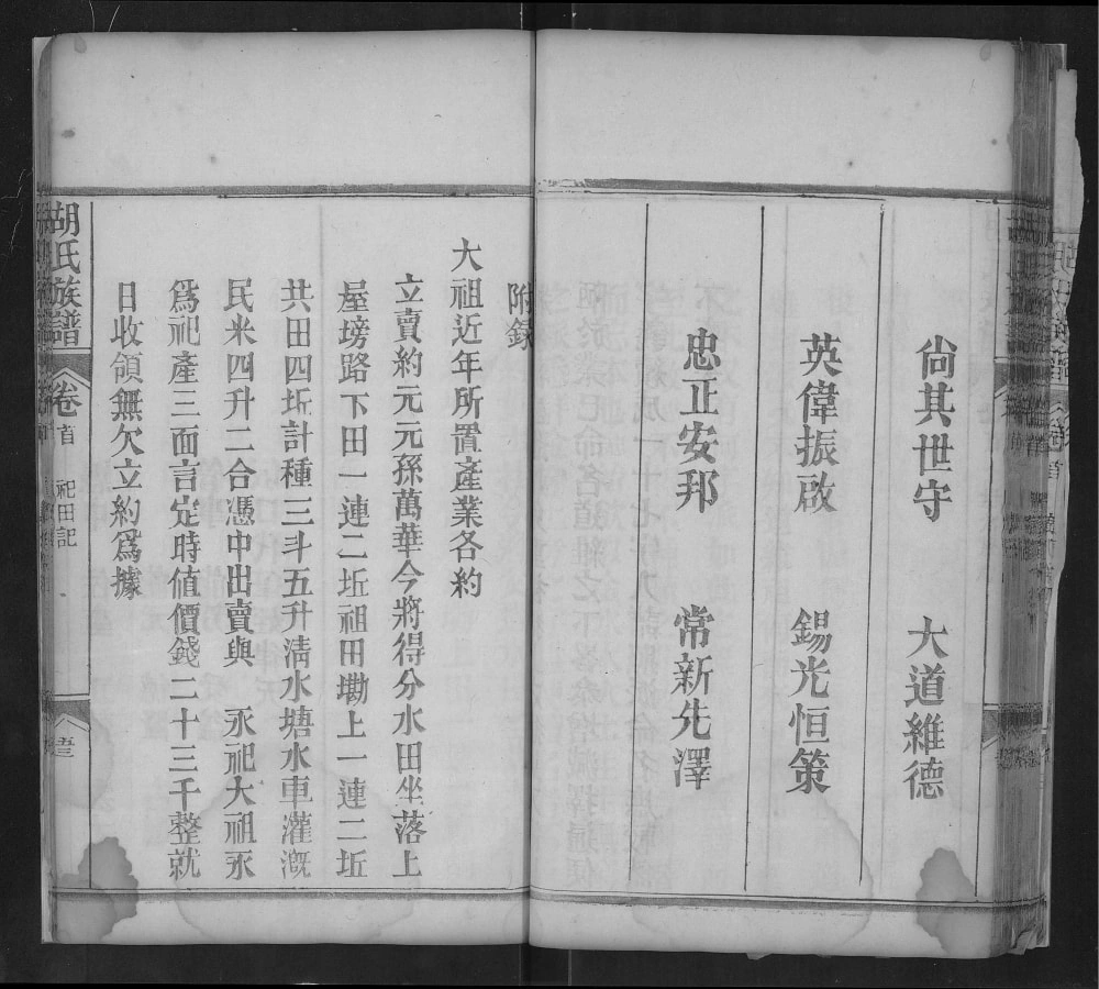 图片[4]-湖北黄冈红安县胡氏族谱电子版PDF下载-中华家谱网