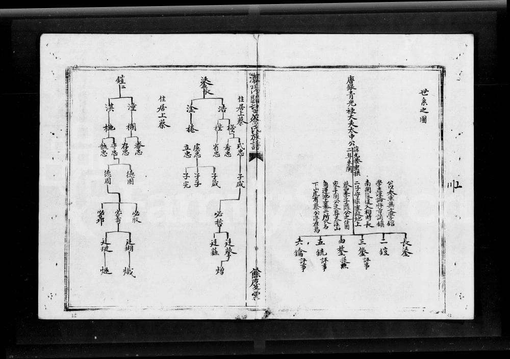 图片[1]-广东汕头澄海区潮阳辟望蔡氏族谱电子版PDF下载-中华家谱网