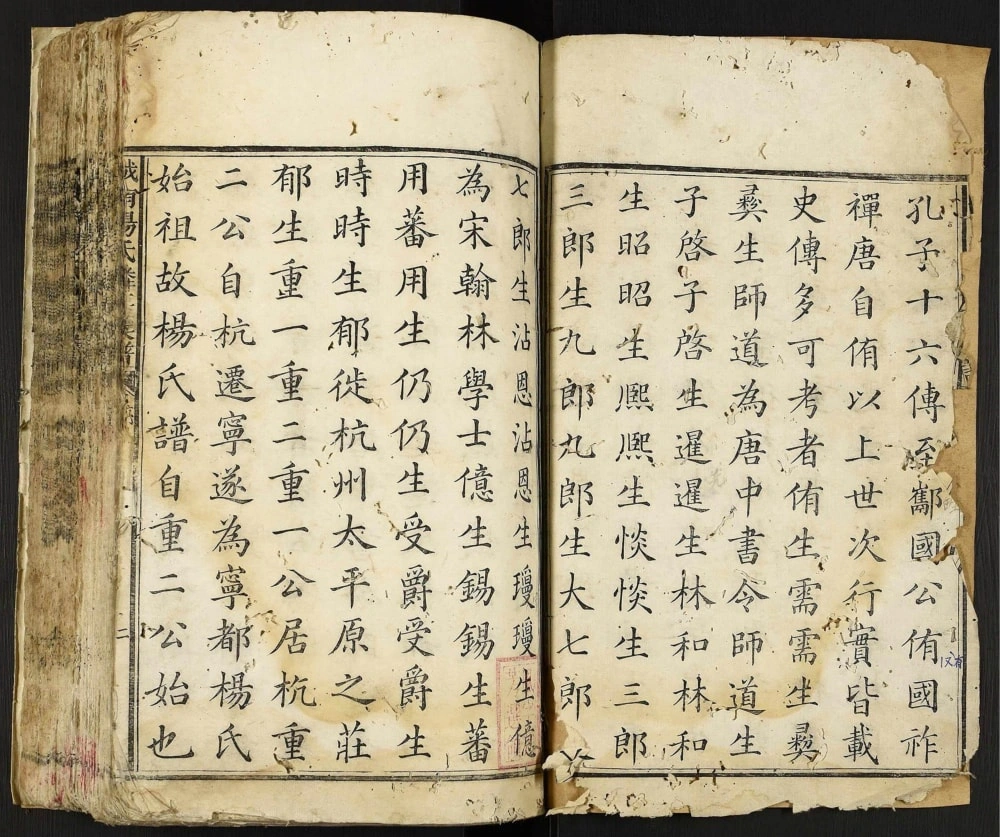 图片[2]-江西赣州宁都城南杨氏麟房族谱电子版PDF下载-中华家谱网