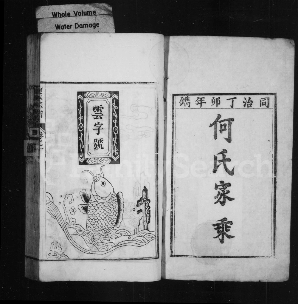 图片[2]-安徽芜湖南陵县凤洲何氏宗谱电子版PDF下载-中华家谱网