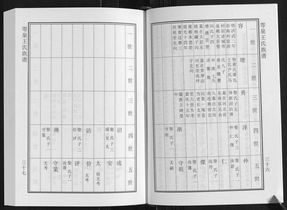 图片[5]-山东诸城雩泉王氏族谱电子版PDF下载-中华家谱网