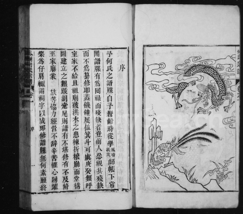 图片[3]-安徽芜湖南陵县凤洲何氏宗谱电子版PDF下载-中华家谱网