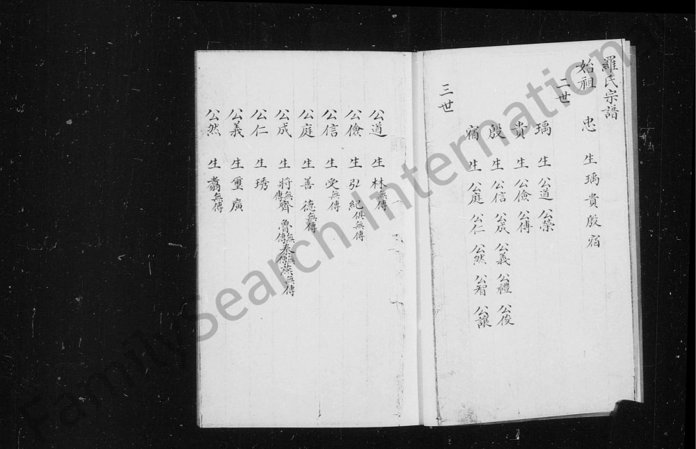 图片[5]-山西介休罗氏家谱电子版PDF下载-中华家谱网