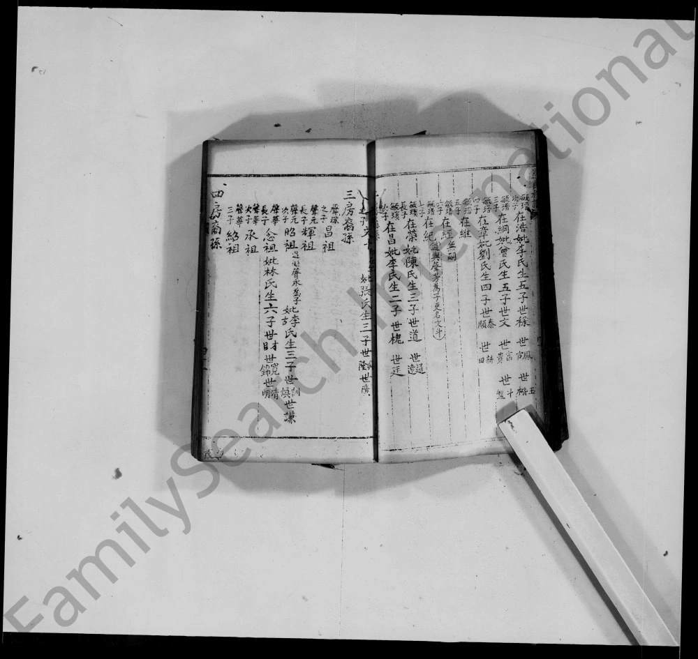 图片[8]-重庆荣昌罗氏族谱电子版PDF下载-中华家谱网