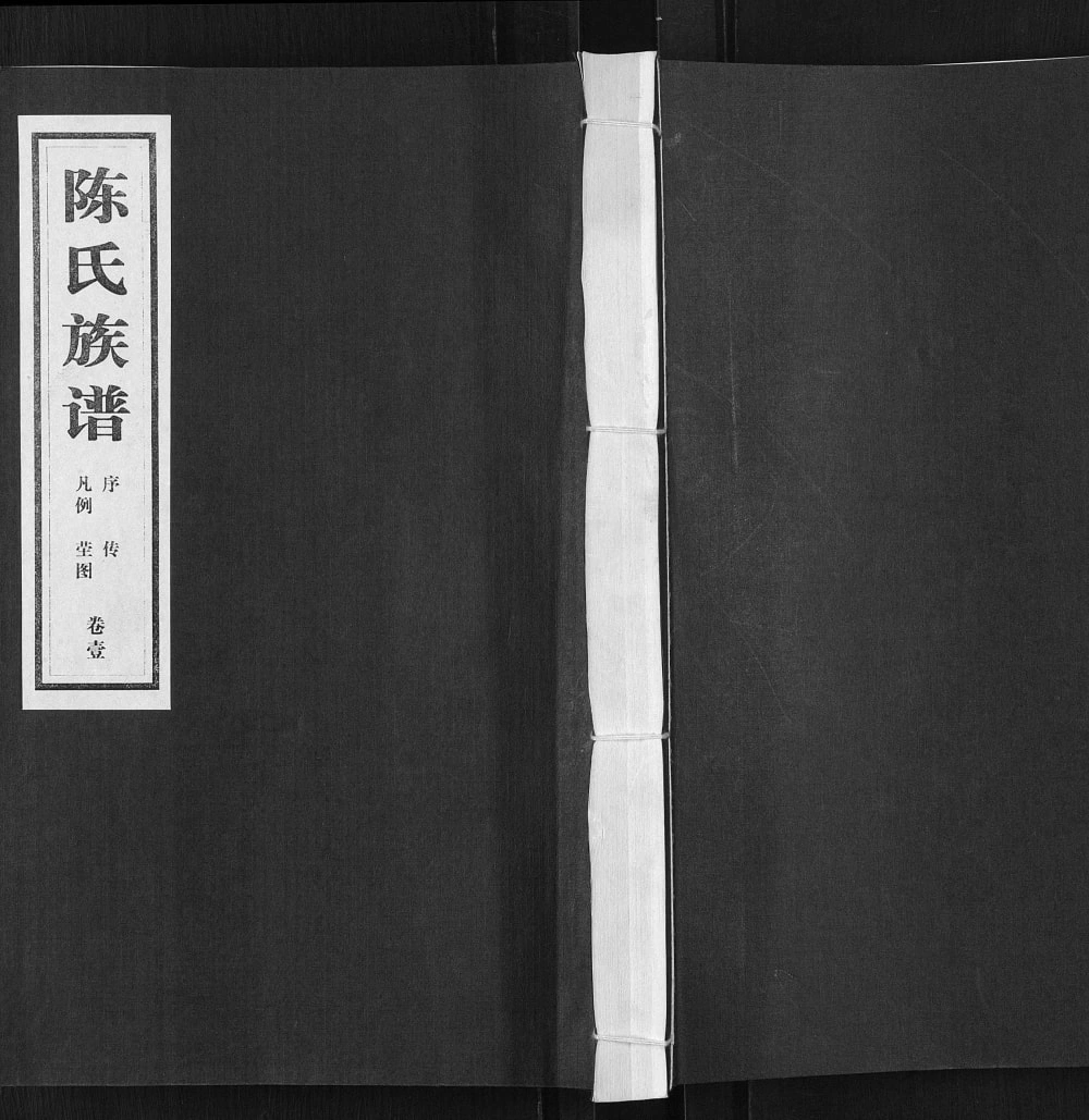 图片[1]-山东临沂沂南县陈氏族谱电子版PDF下载-中华家谱网