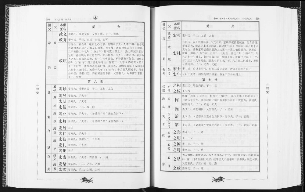 图片[8]-湖北广水王氏宗谱（三槐堂）电子版PDF下载-中华家谱网