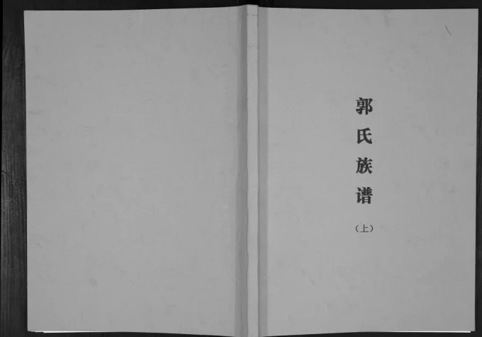 广西河池郭廷汪后裔族谱-中华家谱网