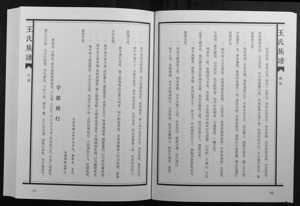 图片[3]-重庆江津汉鼓山王氏族谱电子版PDF下载-中华家谱网