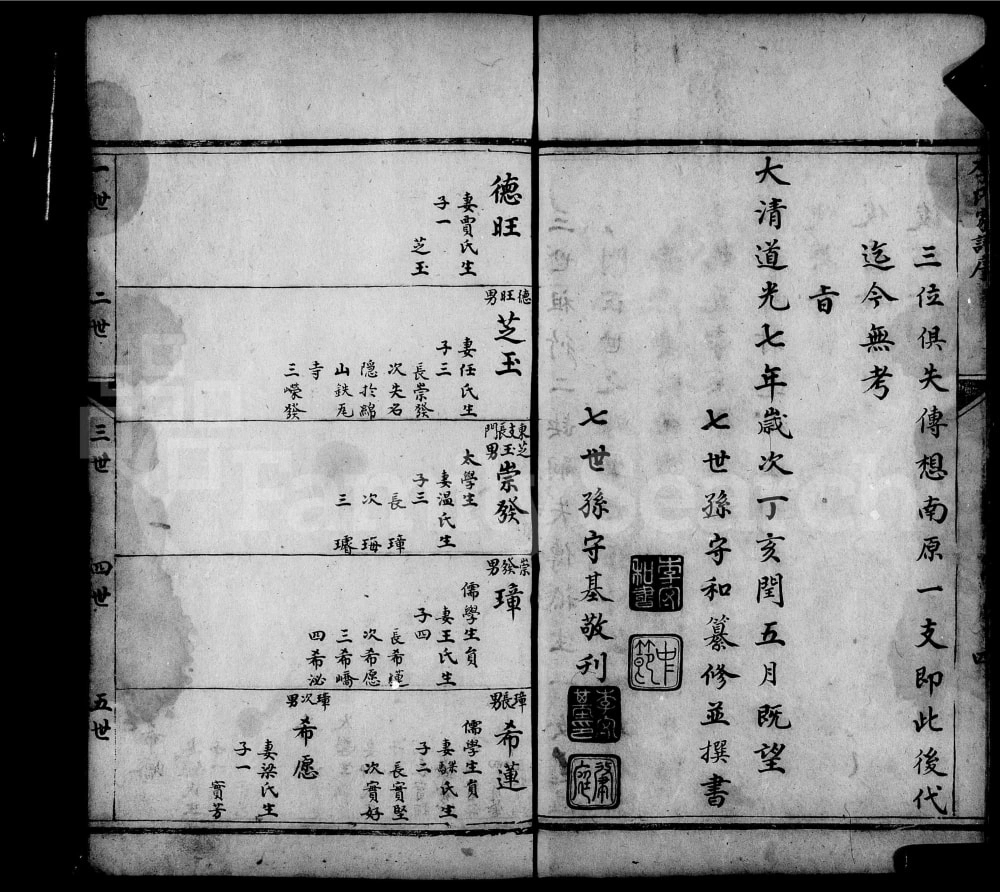 图片[4]-山西介休李氏家谱电子版PDF下载-中华家谱网