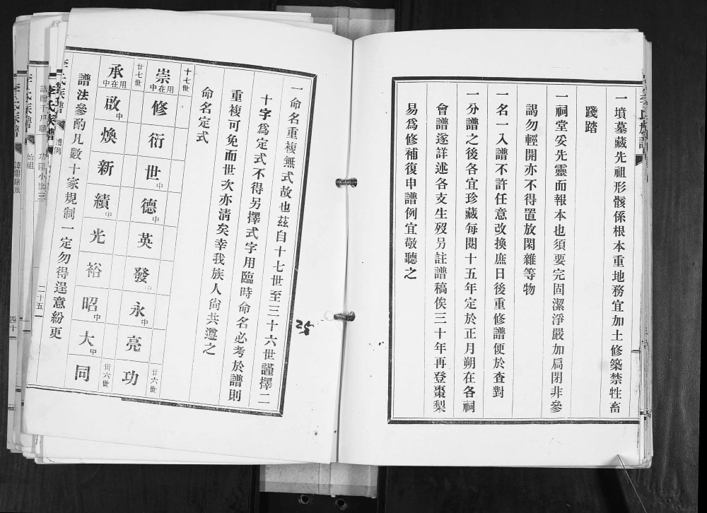 图片[4]-山东青岛崂山区李氏族谱电子版PDF下载-中华家谱网