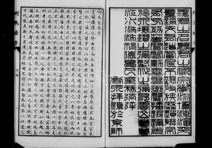 河北沧州青县东光县何氏族谱-中华家谱网