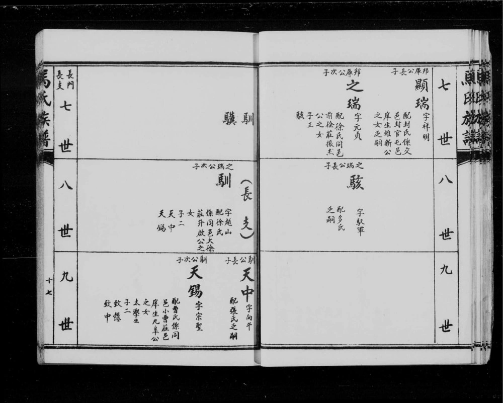 图片[8]-河北沧州东光马氏家乘电子版PDF下载-中华家谱网