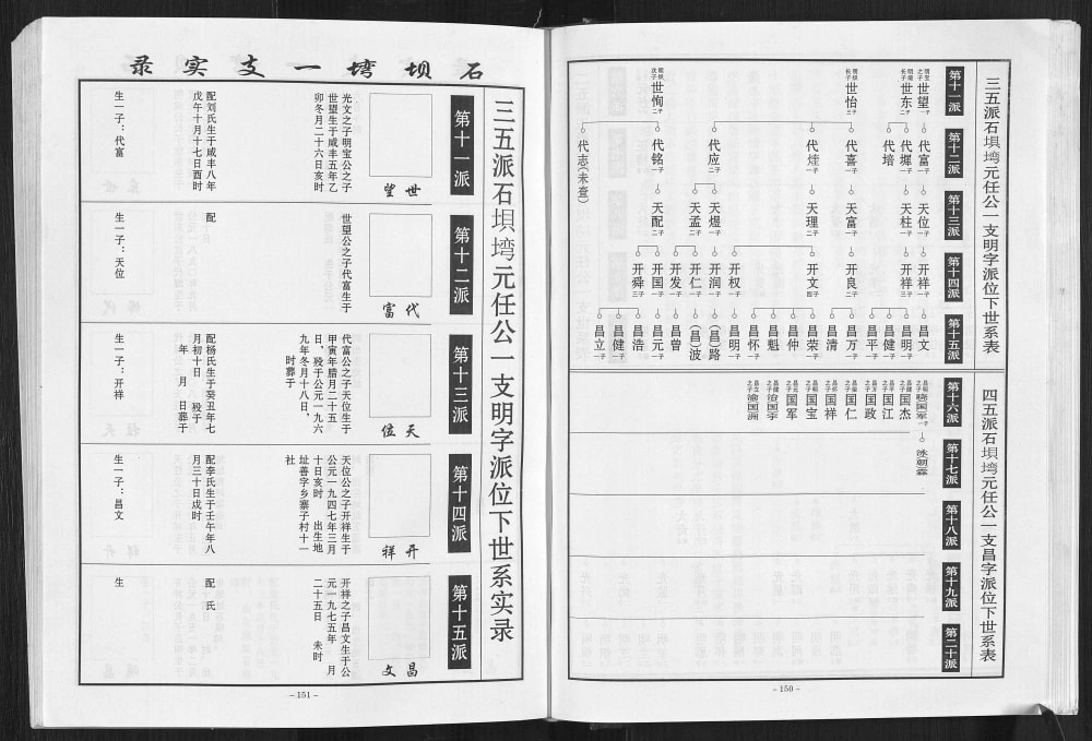 图片[6]-重庆万州新袁袁家桥陈氏族谱电子版PDF下载-中华家谱网