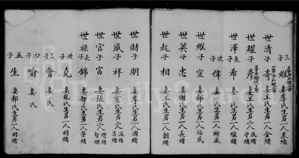 图片[6]-山西长治沁县开村刘氏家谱电子版PDF下载-中华家谱网