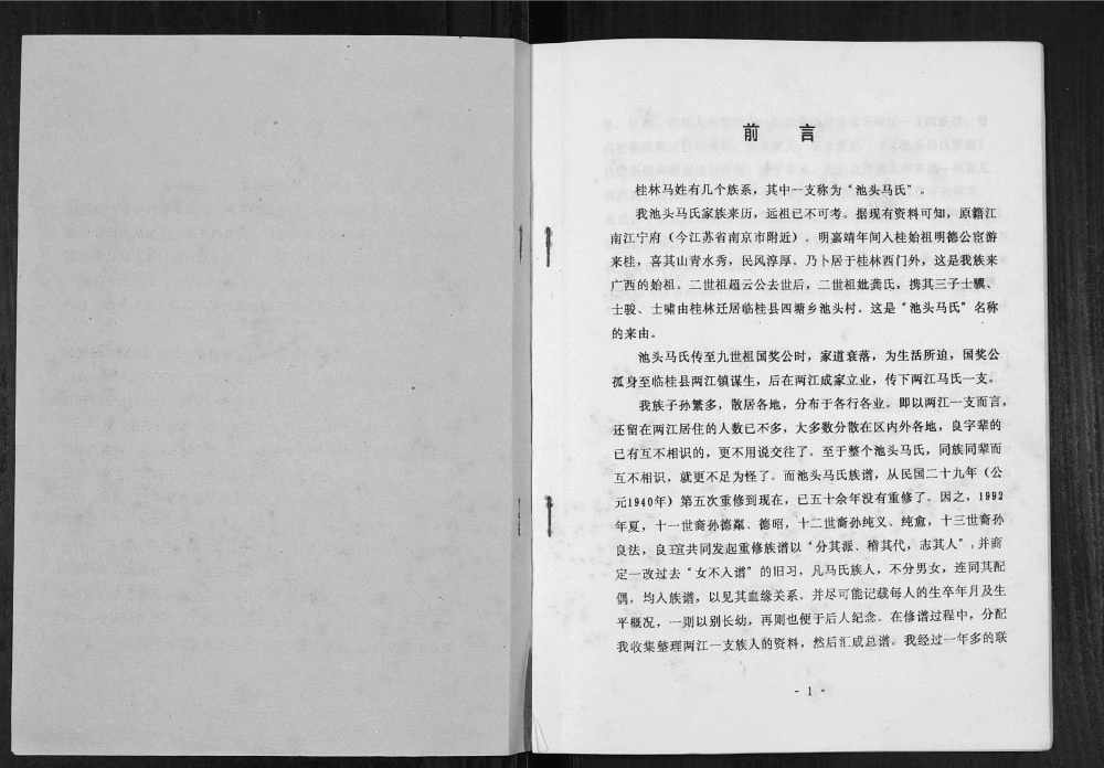 图片[2]-广西桂林池头马氏两江分支族谱电子版PDF下载-中华家谱网