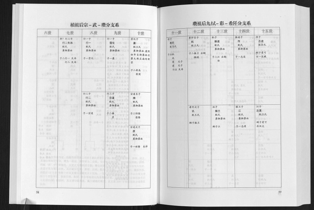 图片[8]-山东临沂方城胡氏宗谱电子版PDF下载-中华家谱网