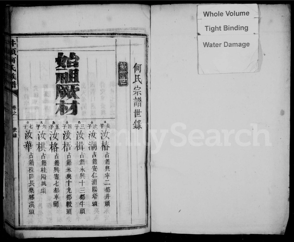 图片[7]-湖南资兴井头何氏族谱电子版PDF下载-中华家谱网