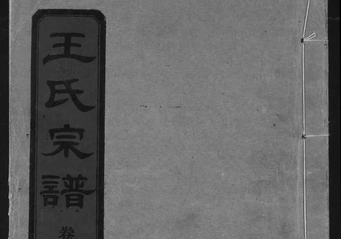 湖北武汉汉阳区王氏宗谱（三槐堂）电子版PDF下载-中华家谱网