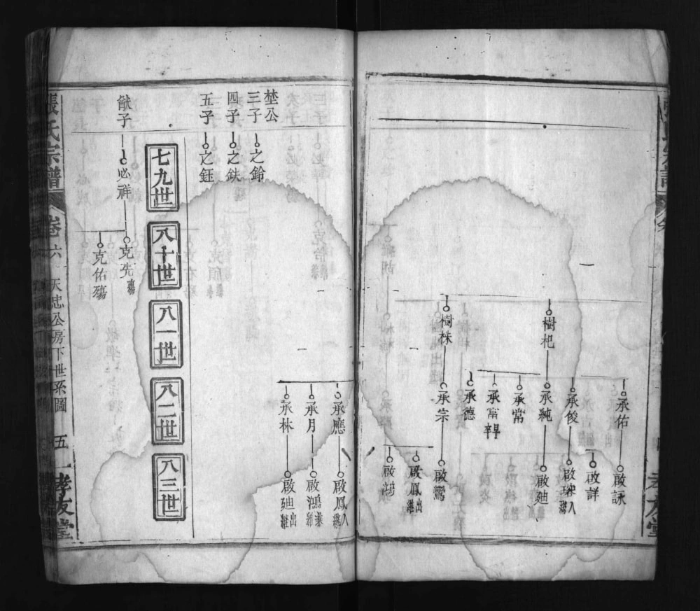 图片[8]-湖北黄冈罗田张氏宗谱（孝友堂）电子版PDF下载-中华家谱网