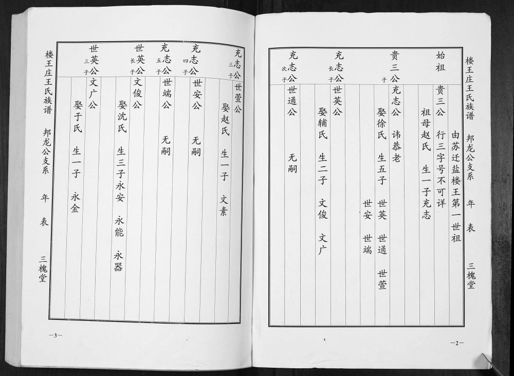 图片[6]-江苏盐城楼王庄王氏族谱（三槐堂）电子版PDF下载-中华家谱网