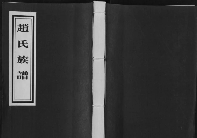 山东临沂河东区石泉庄赵氏族谱电子版PDF下载-中华家谱网