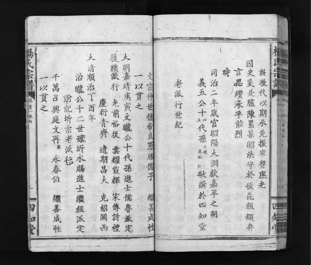 图片[4]-湖北黄石阳新杨氏宗谱电子版PDF下载-中华家谱网