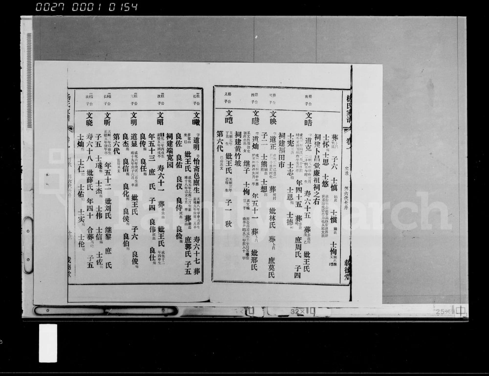 图片[7]-海南省杨氏家谱（载德堂）电子版PDF下载-中华家谱网