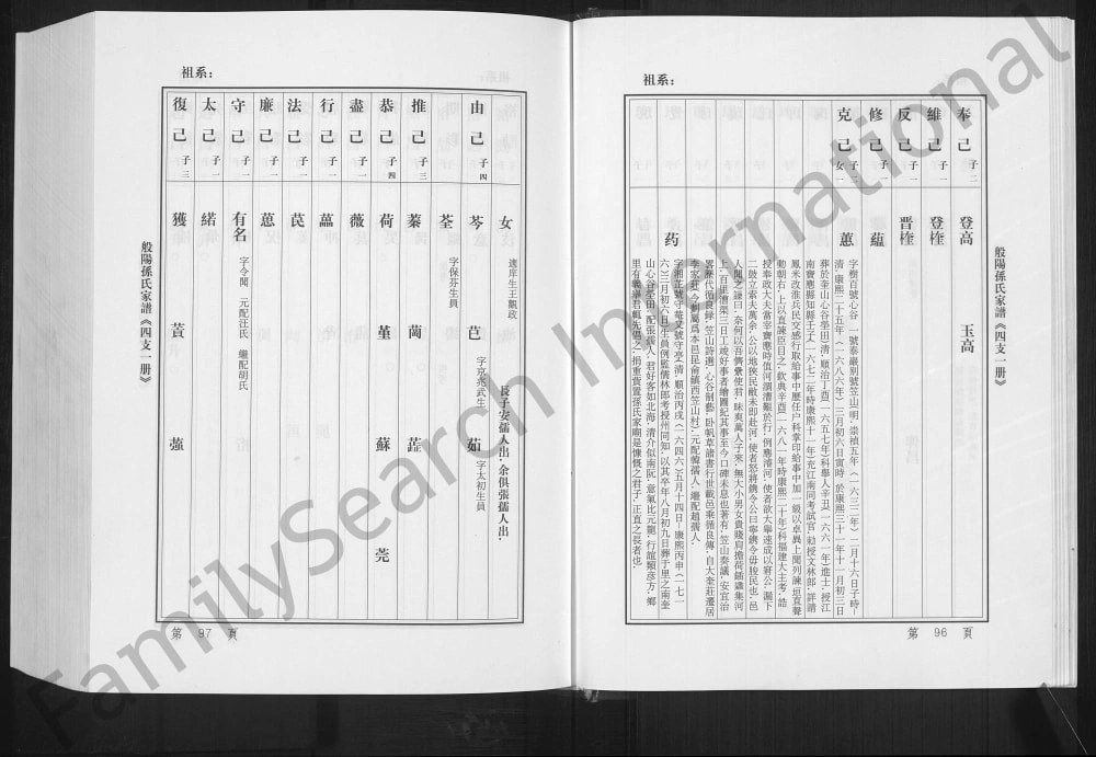 图片[8]-山东淄博般阳孙氏家谱电子版PDF下载-中华家谱网