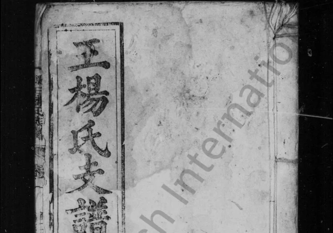 安徽安庆潜山县王杨氏支谱电子版PDF下载-中华家谱网