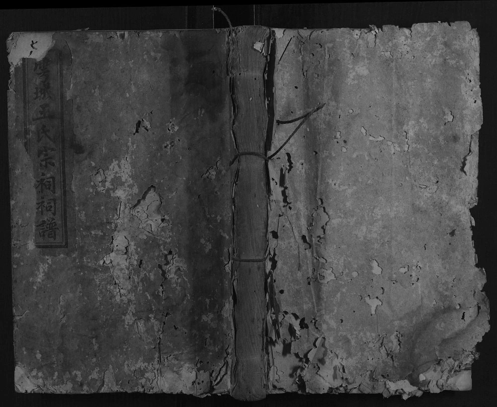 图片[1]-江西赣州于都县雩城王氏宗祠祠谱（世瑞堂）电子版PDF下载-中华家谱网