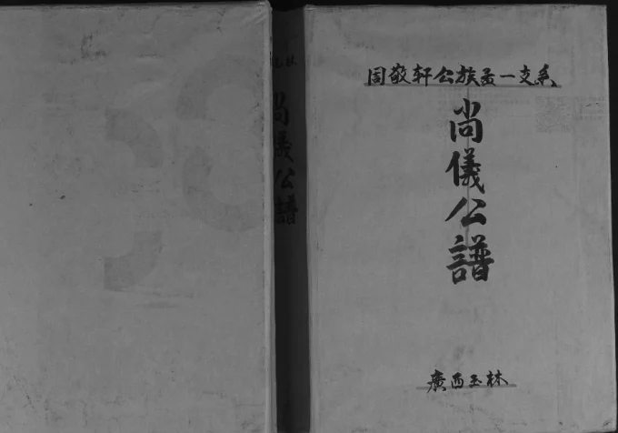 广西玉林周敬轩公族孟一支系周氏尚仪公谱-中华家谱网