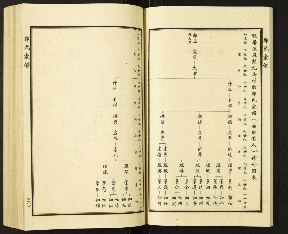 图片[5]-天津西青区梨园头村郭氏家谱（汾阳堂）电子版PDF下载-中华家谱网